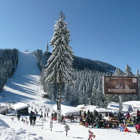 Lägenhetshotell Pine Hills Pamporovo