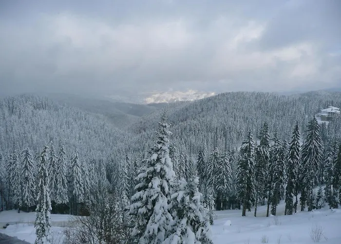 Pine Hills 3* Pamporovo