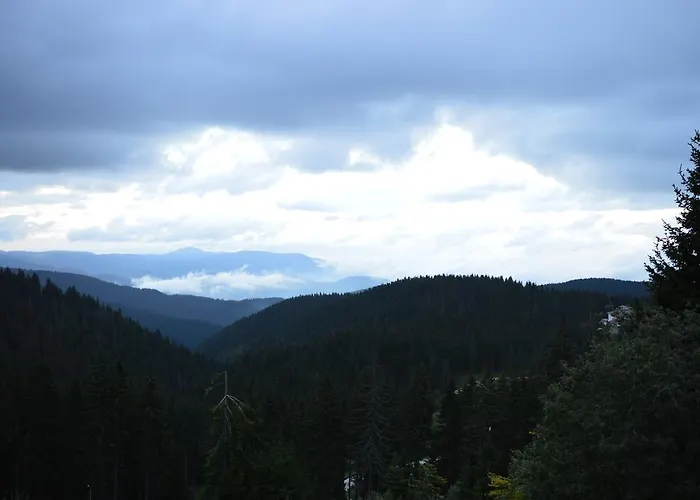 Pine Hills 3* Pamporovo